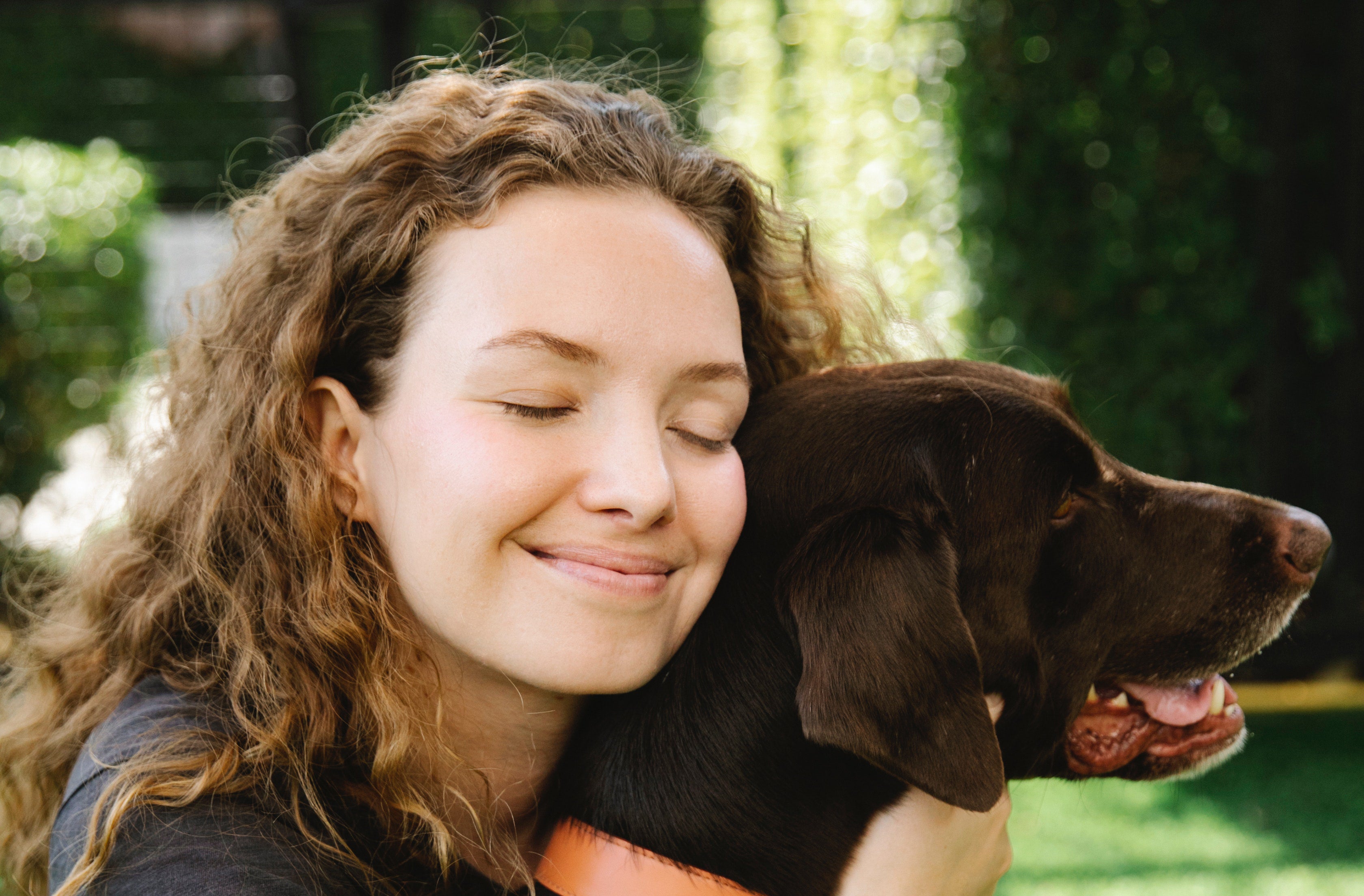 A young woman hugs a Chocolate Labrador