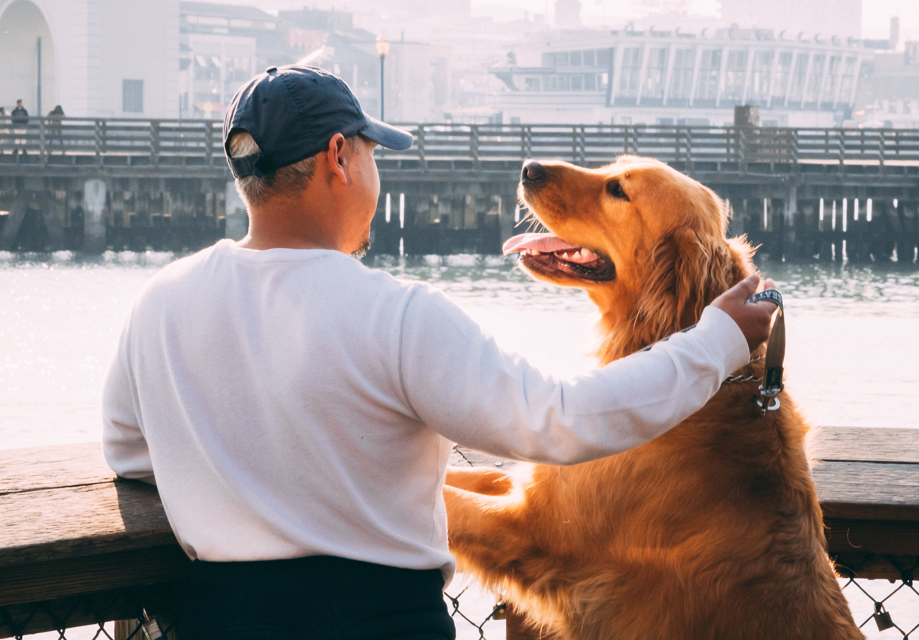 A man and a Golden Retriever look out over the scenery at a dock