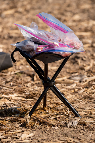 Butchering wild turkey in the field