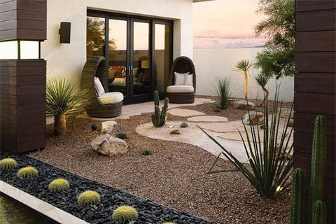 Jardín seco, suelo árido con losas y cactus