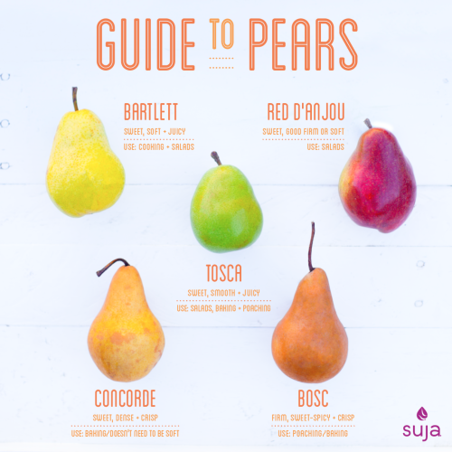 Suja Juice Guide To Pears Infographic