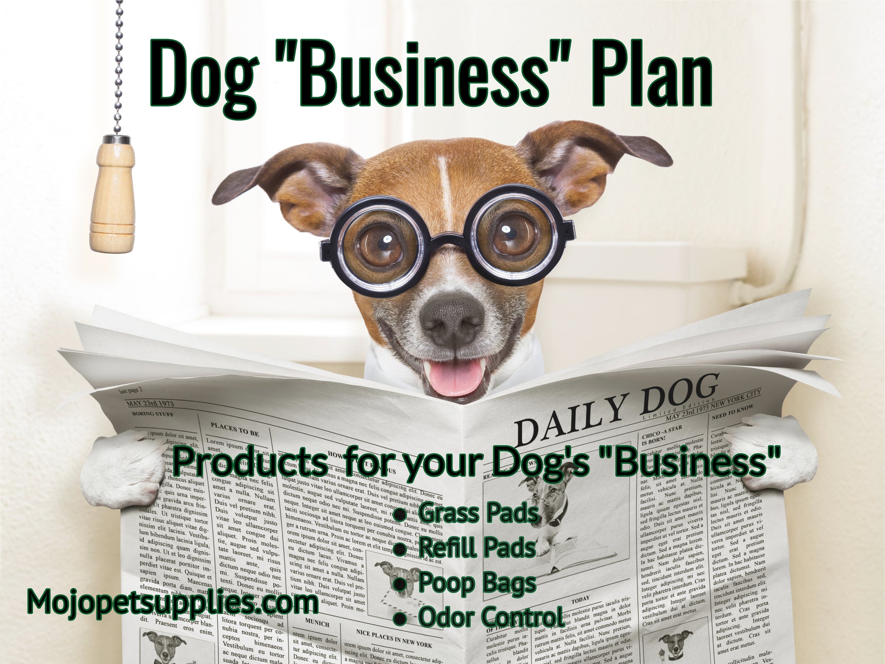 Best indoor dog potty and poop supplies – Mojopetsupplies.com
