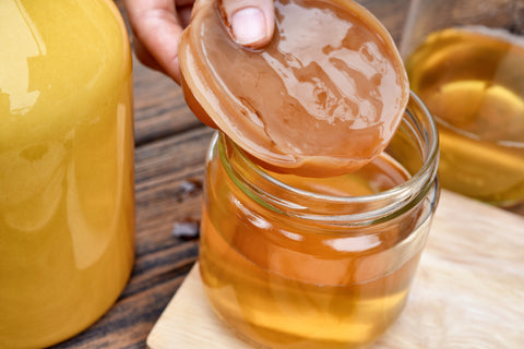 What is a Kombucha Scoby?