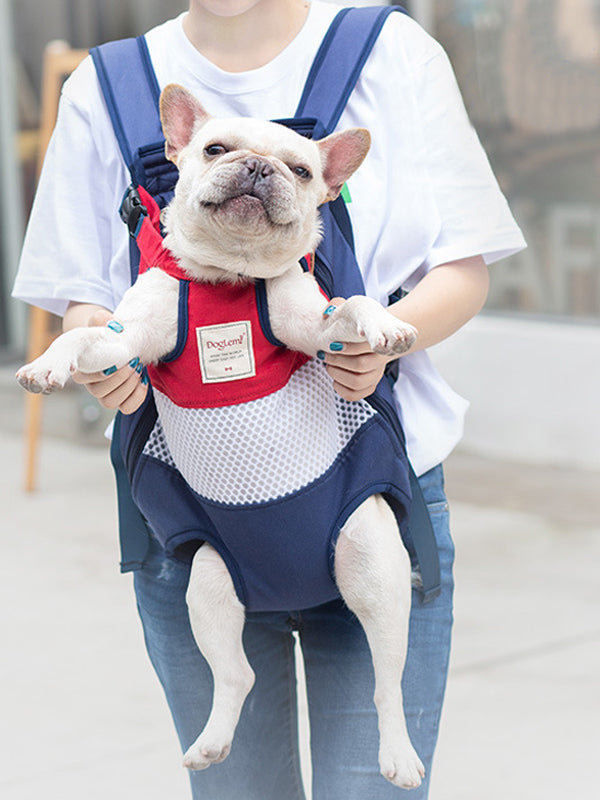 pug carrier backpack