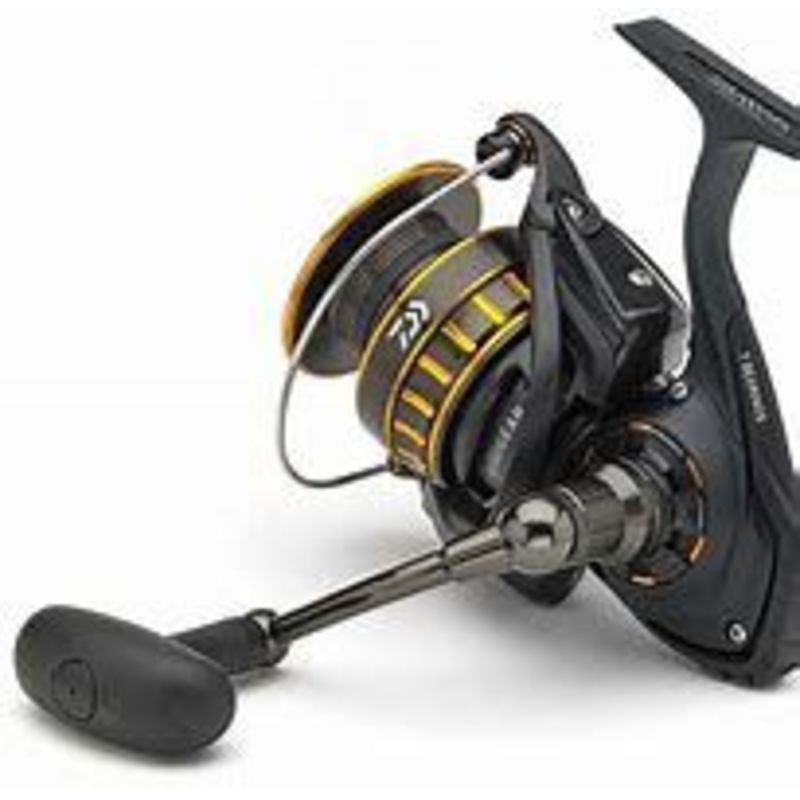 Daiwa BG6500/701H BG Saltwater Spinning Combo