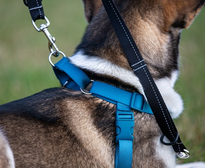 aspca no pull harness