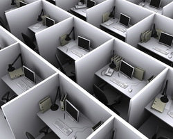 Open Office vs. Cubicles