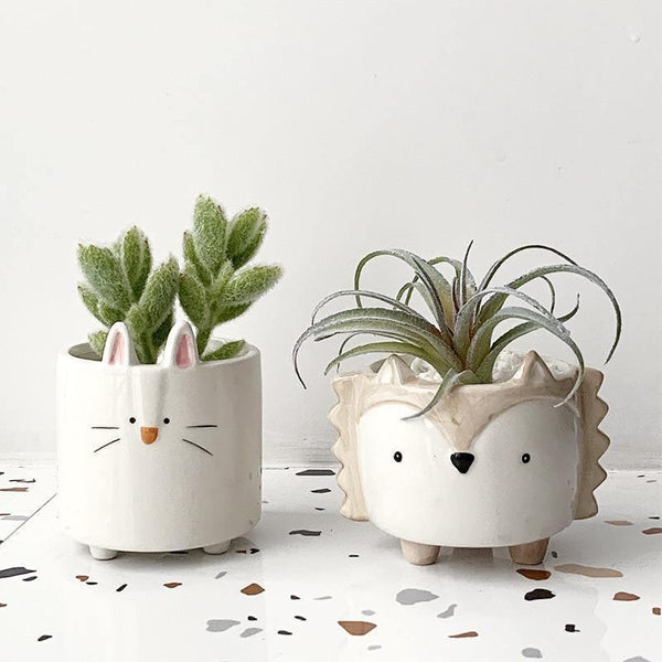 Animals Ceramic Succulent Flowerpot 0