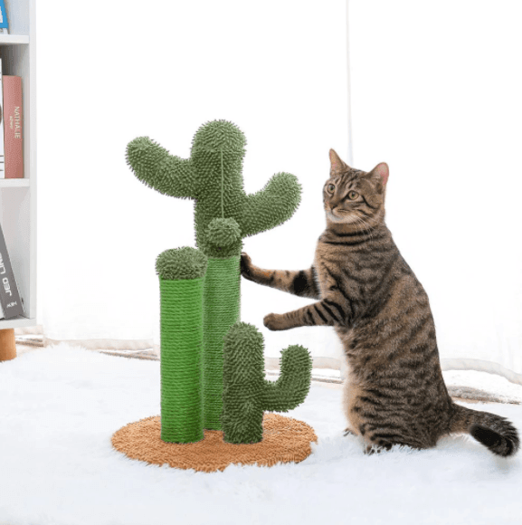 Cactus Cat Scratcher Posts with Ball 0