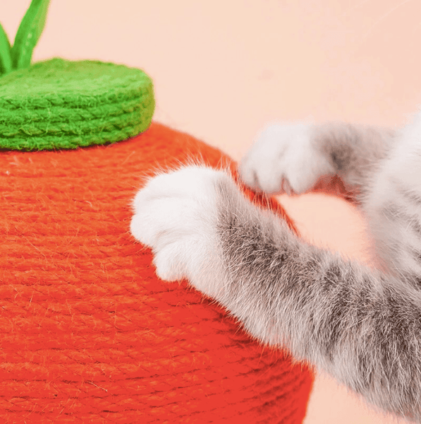 Carrot Cat Scratching Post 2