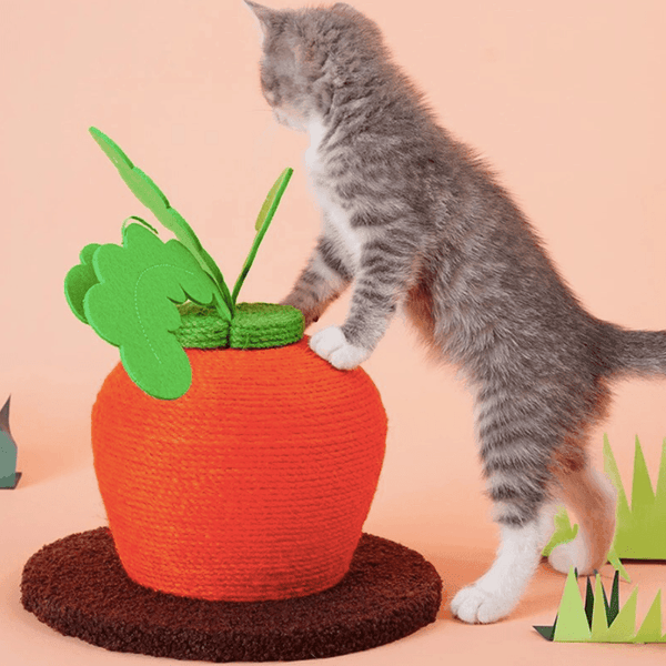Carrot Cat Scratching Post 3