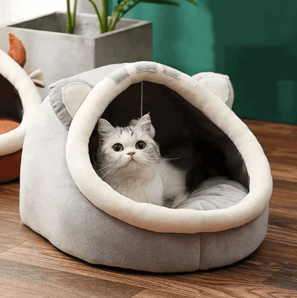 Cute Cat Bed House 3