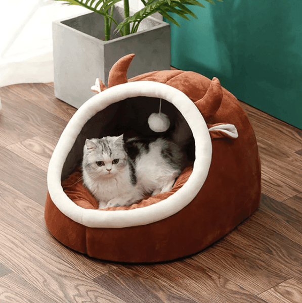 Cute Cat Bed House 4