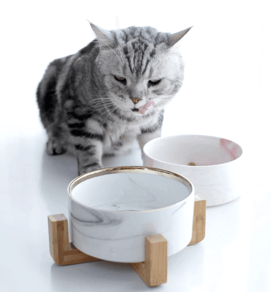 Marbling Ceramic Dog Cat Food Bowl 1