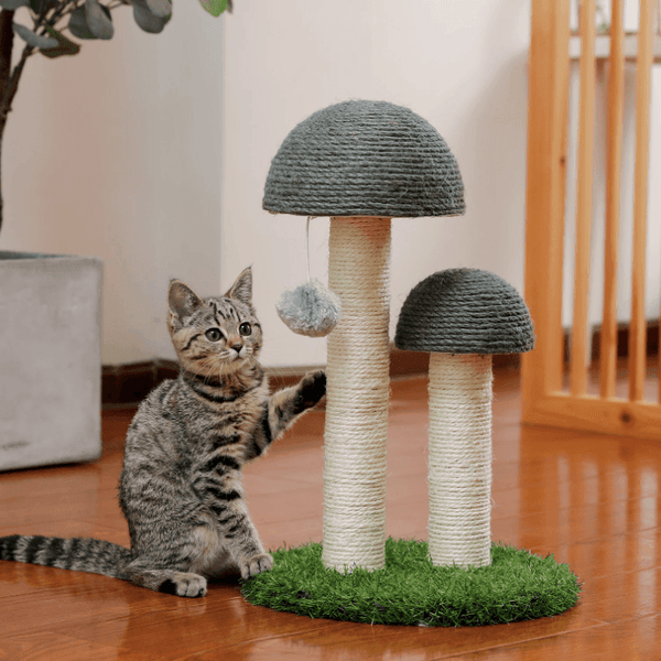 Mushroom Cat Scratching Post with Ball 0