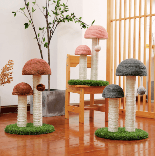 Mushroom Cat Scratching Post with Ball 2