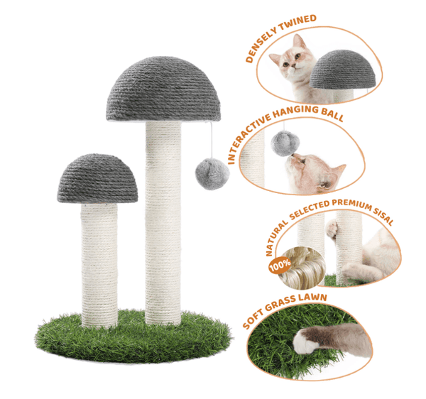 Mushroom Cat Scratching Post with Ball 3