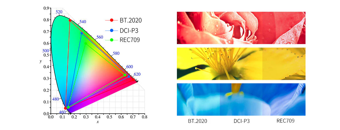 Projecteur Couleur Gamut BT.2020 VS DCI-P3 VS REC709