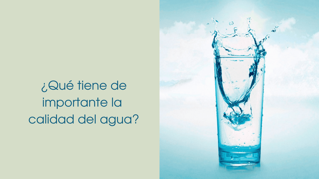 Image-Qué-tiene-de-importe-la-calidad-del-agua