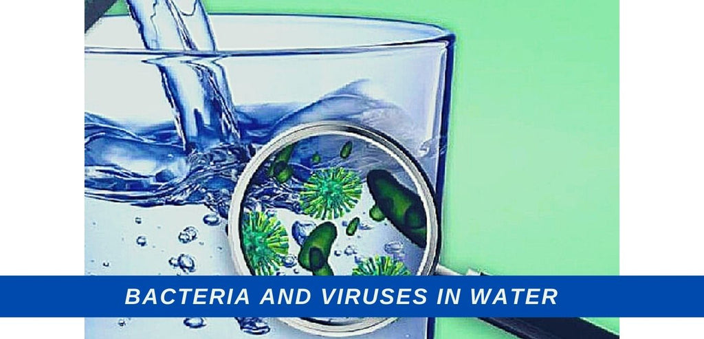 Image-bacteria-and-viruses-in-water