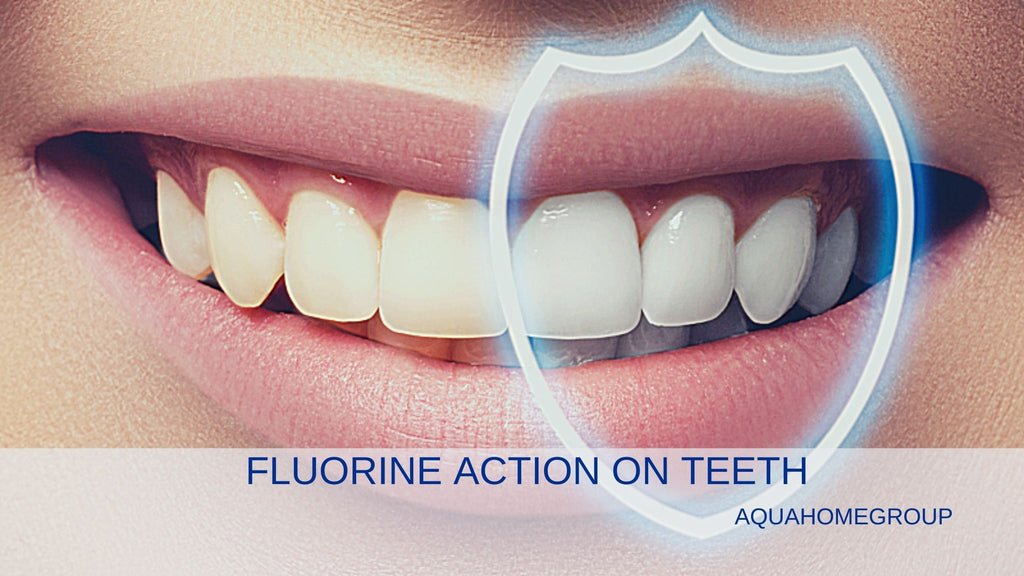 image-fluorine-action-on-teeth