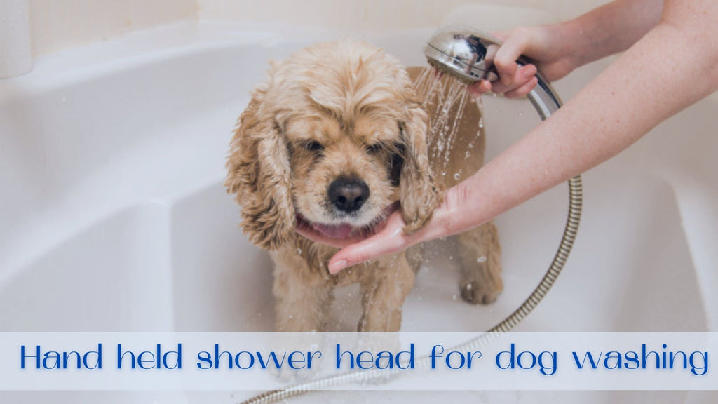 Image-hand-held-shower-head-for-dog-washing