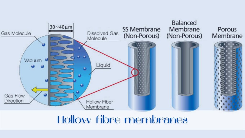 Image-hollow-fibre-membranes