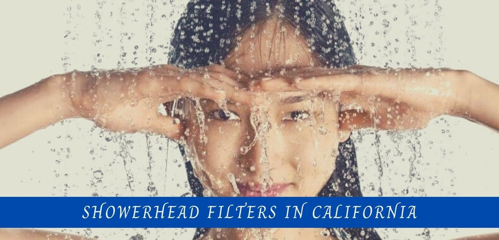 Image-showerhead-filters-in-California