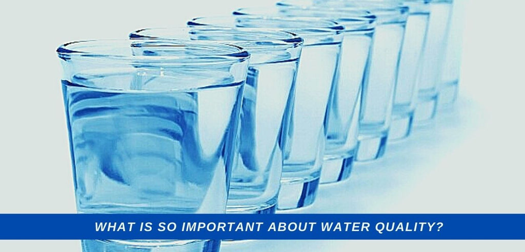 Image-what-is-so-important-about-water-quality