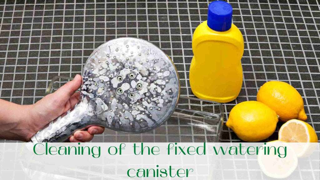 image-Cleaning-of-the-fixed-watering-canister