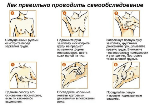 грудь массаж конороква массаж груди забота 