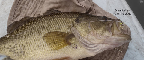 February Bass While Kayak Pike Fly Fishing, 1/0 White Great Lakes Jiggy