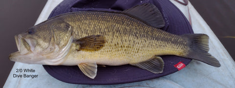 Cold Water Kayak Bass Dive Banger Popper Fly