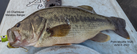 Kayak Bass, Marabou Banger Popper Fly