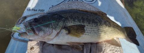 Spring Bass Shallow, Bead Head Streamer