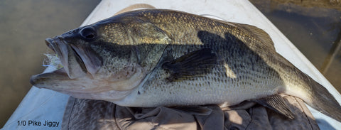 Flashy Bead Head Jiggy, Cold Water Bass