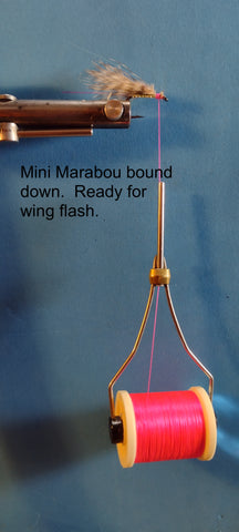 Alevin Step 4) Mini Marabou Wing