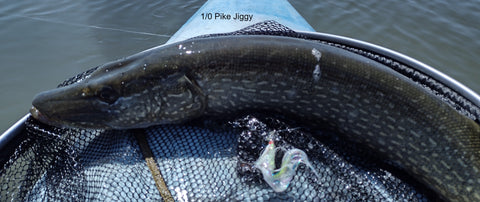 Big Net for Kayak Pike & Bass lands more fish
