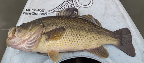 Early Kayak Bass on 1/0 Pike Jiggy Fly