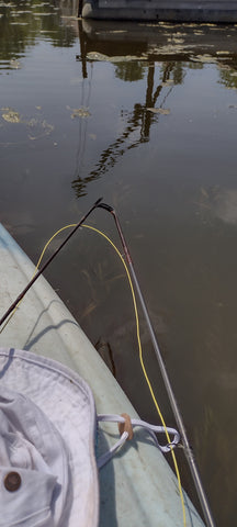 Broken Fly rod fishing big smallmouth in weeds