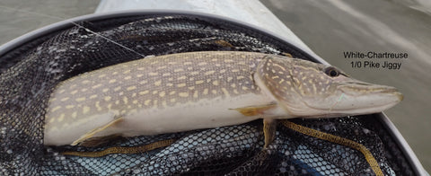 Kayak Pike 1/0 White Bead Head Jiggy Bucktail