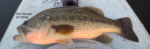 Kayak Marabou popper bass fly pattern