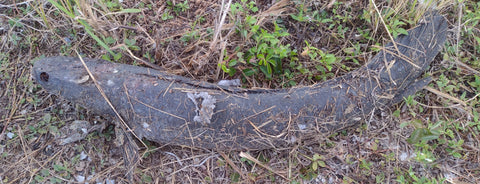 Dead Snake Head = Snake Head Liver Here, Great Kayak Access