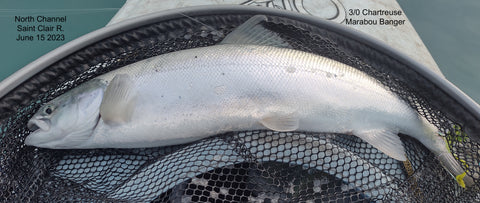 St. Clair R. Kayak Atlantic Salmon Bass popper