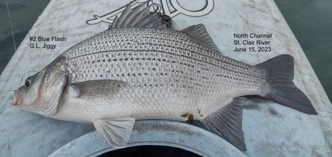 Kayak White Bass Great Lake Jiggy Fly