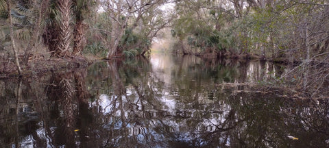 Canal Behind Lock Above Lake Jackson