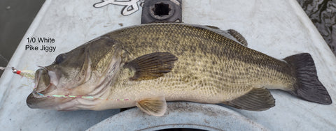 Kayak Bass 1/0 White Pike Jiggy