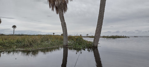 Gator Point, Lake Egan C&R Bass Fishery