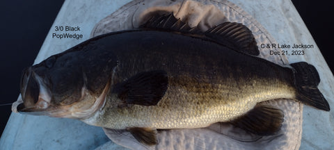 Lake Jackson Catch & Release Bass Fishing from a Kayal