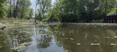 Pigeon River Backwater Large & Smallmouth